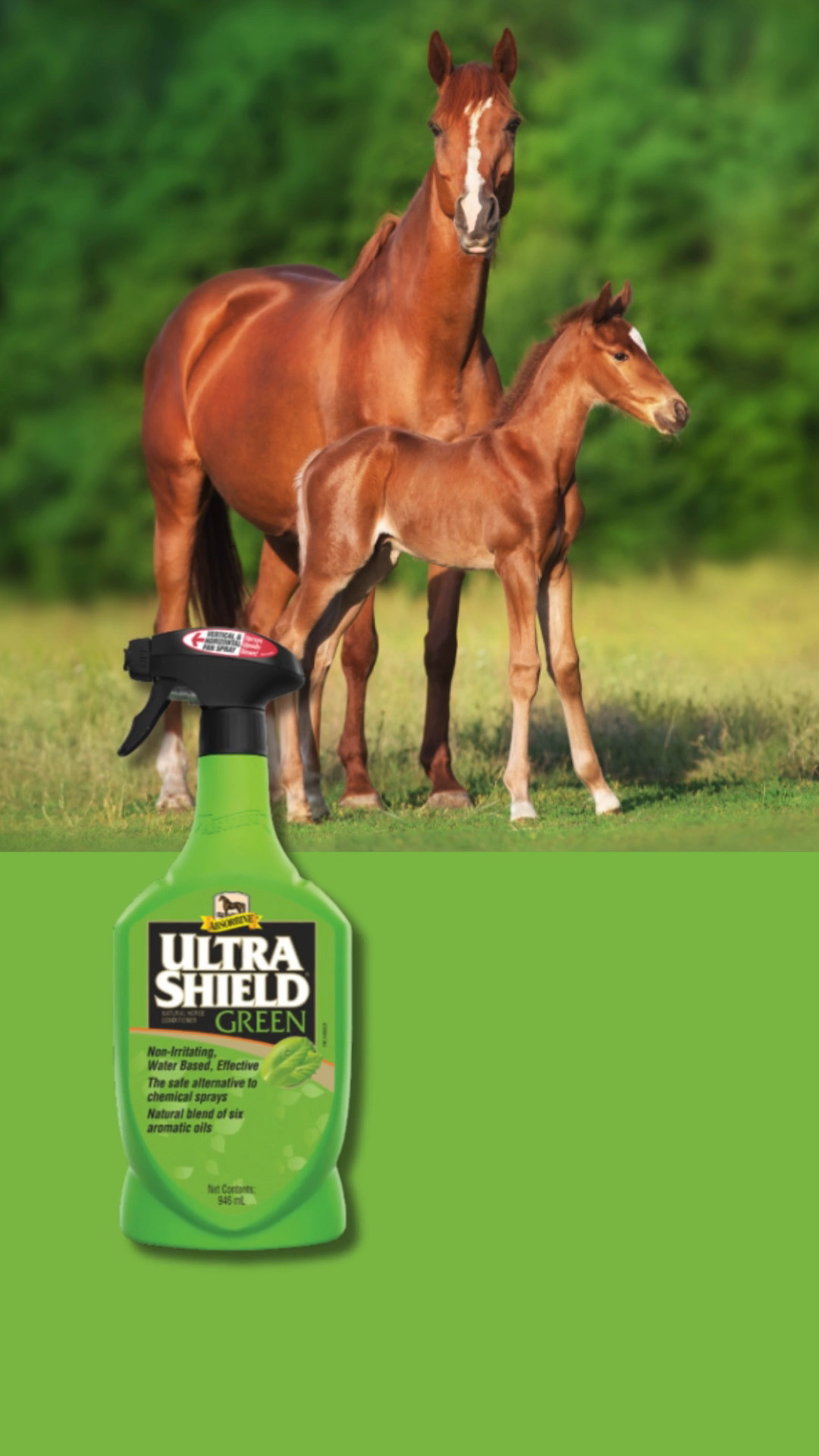 Anúncio de Contact Saddlery