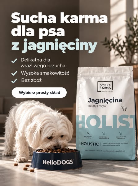 Sprawdź karmy z prostym składem
