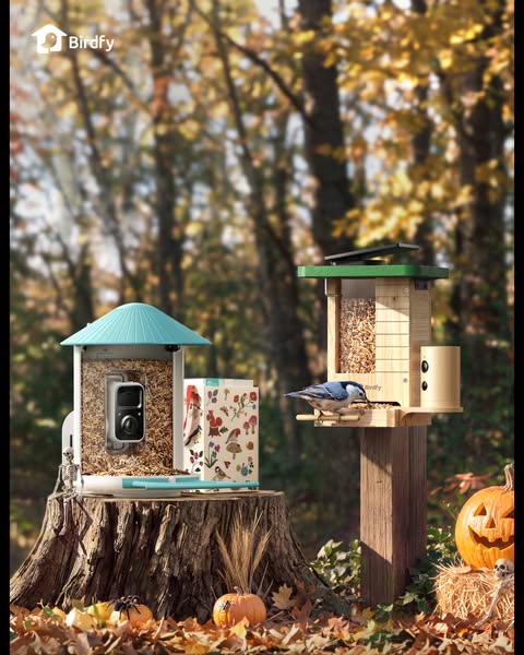 See What Visits Your Garden After Dark
