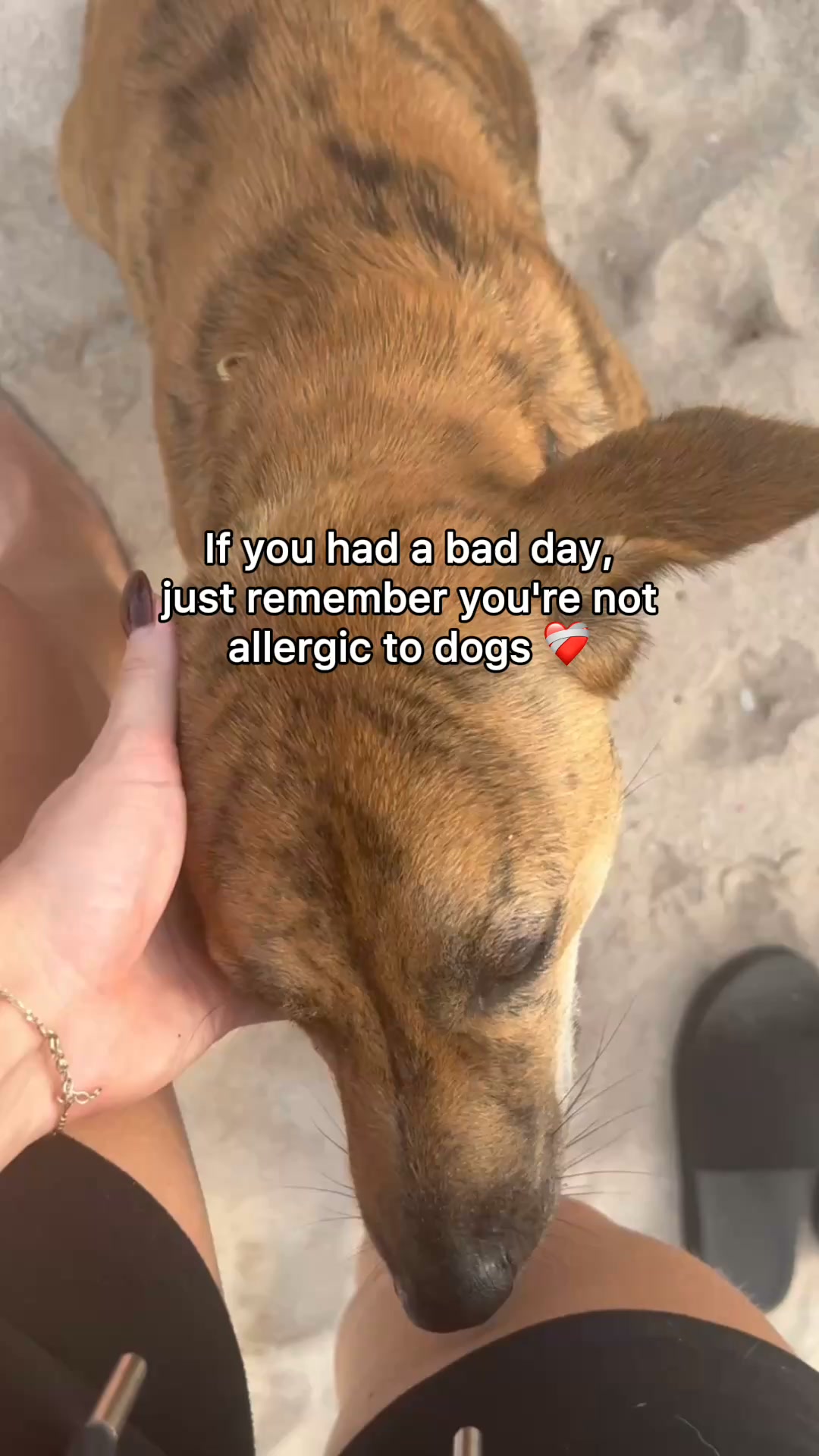 Rescue Paws Bracelet