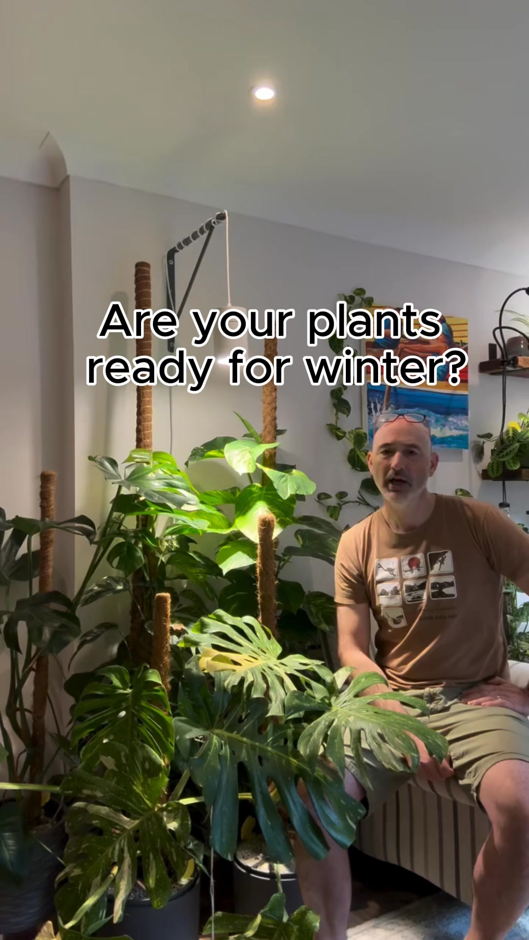 The Secret to a Thriving Indoor Jungle.