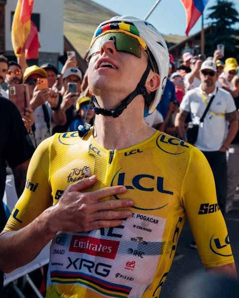 Endurance & High-Intensity Sports Nutrition | Enervit