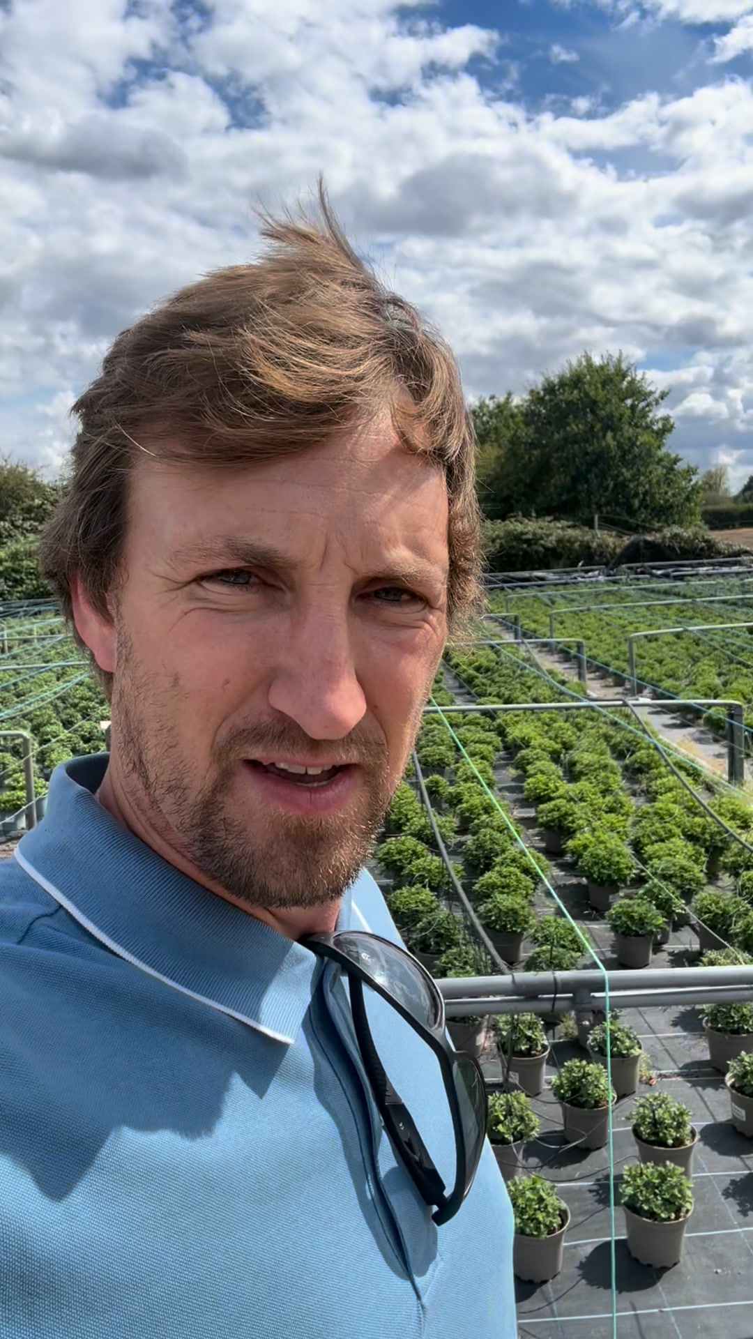 A whole nursery at your doorstep