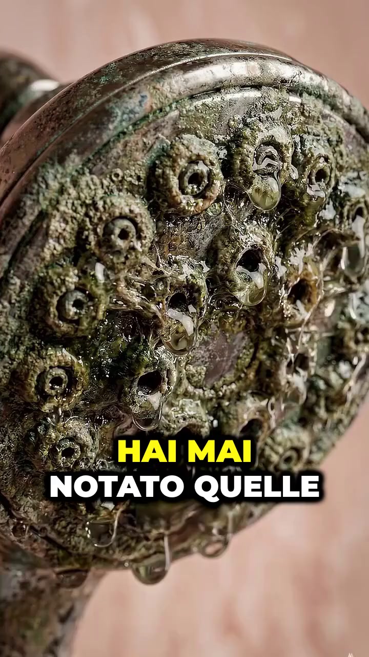 Esperienza di doccia massaggiante di lusso!