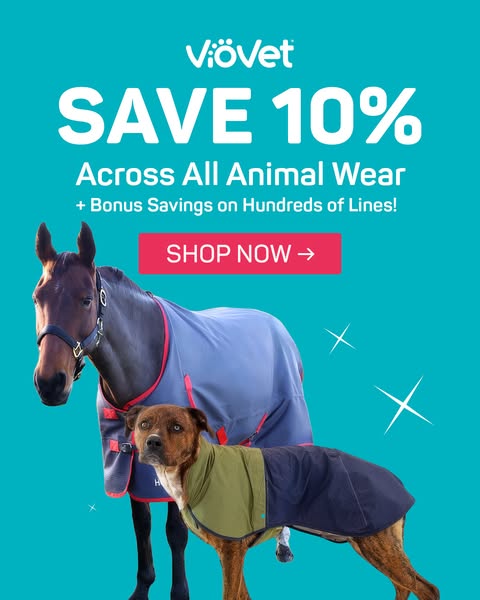 Save 10% on Dog Coats