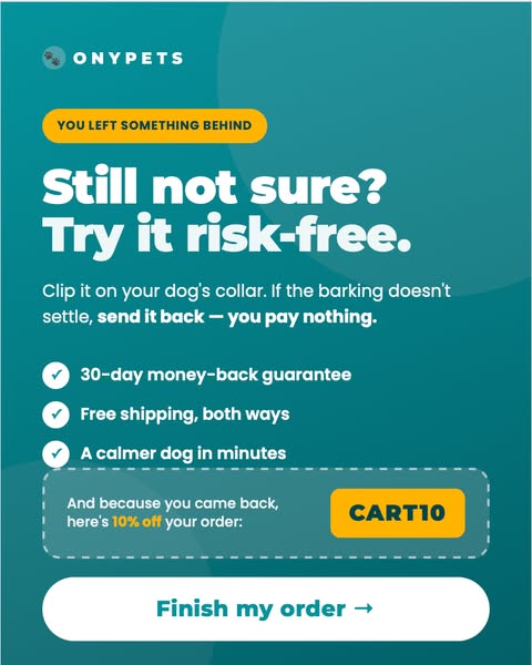 The Solution for Your Dog