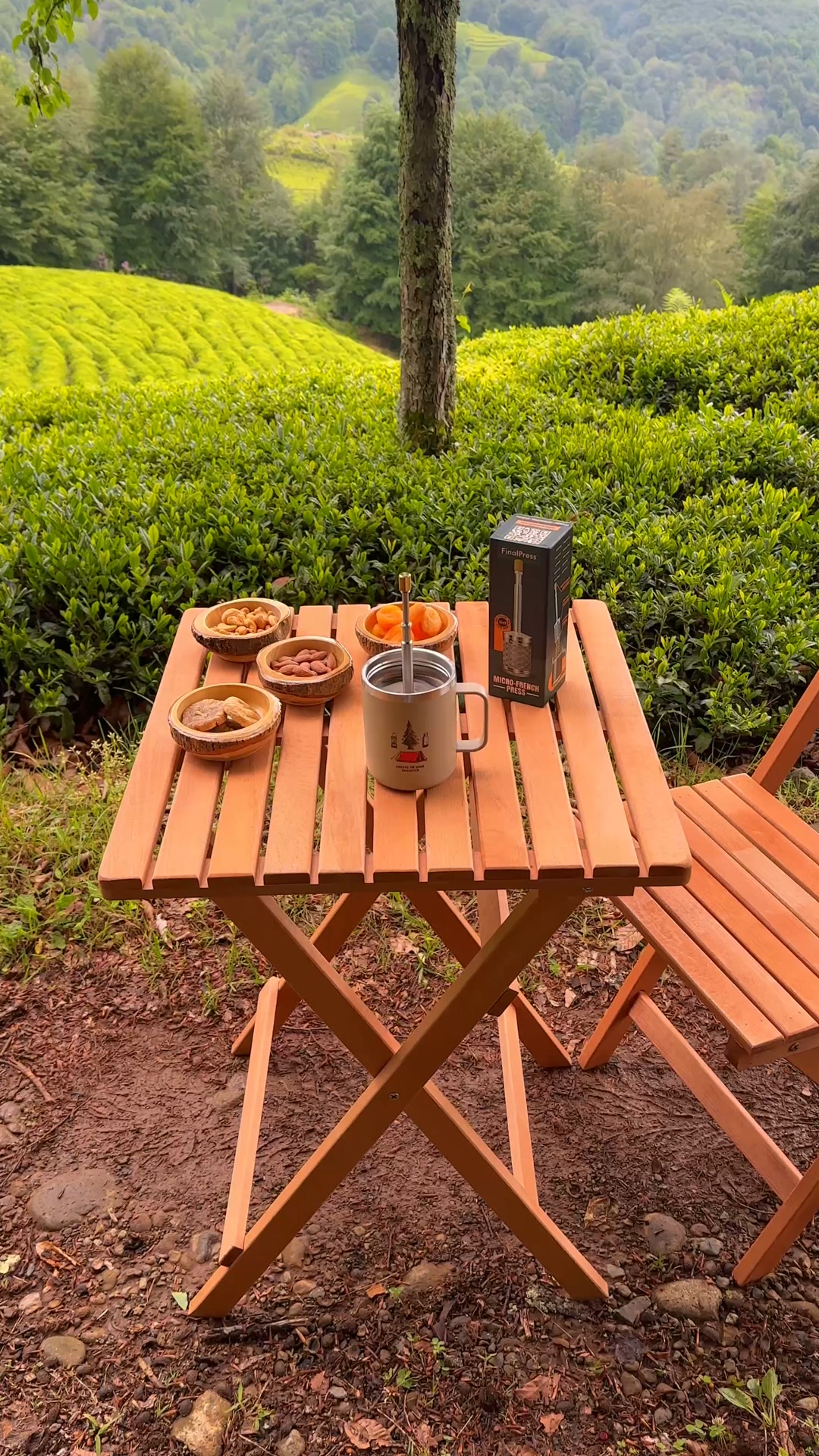 Premium Plastic-Free Coffee Press