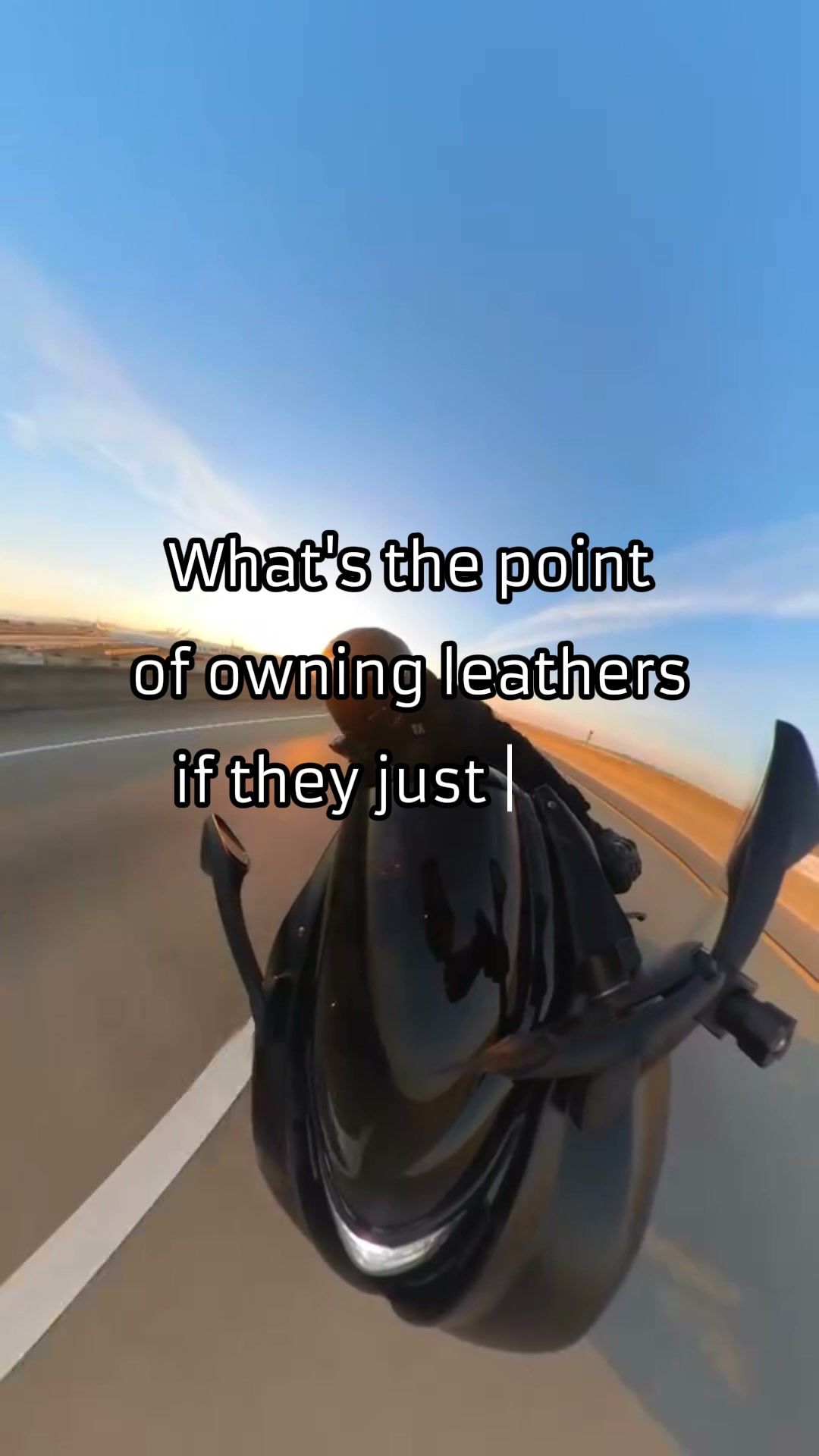 You'll never squid again