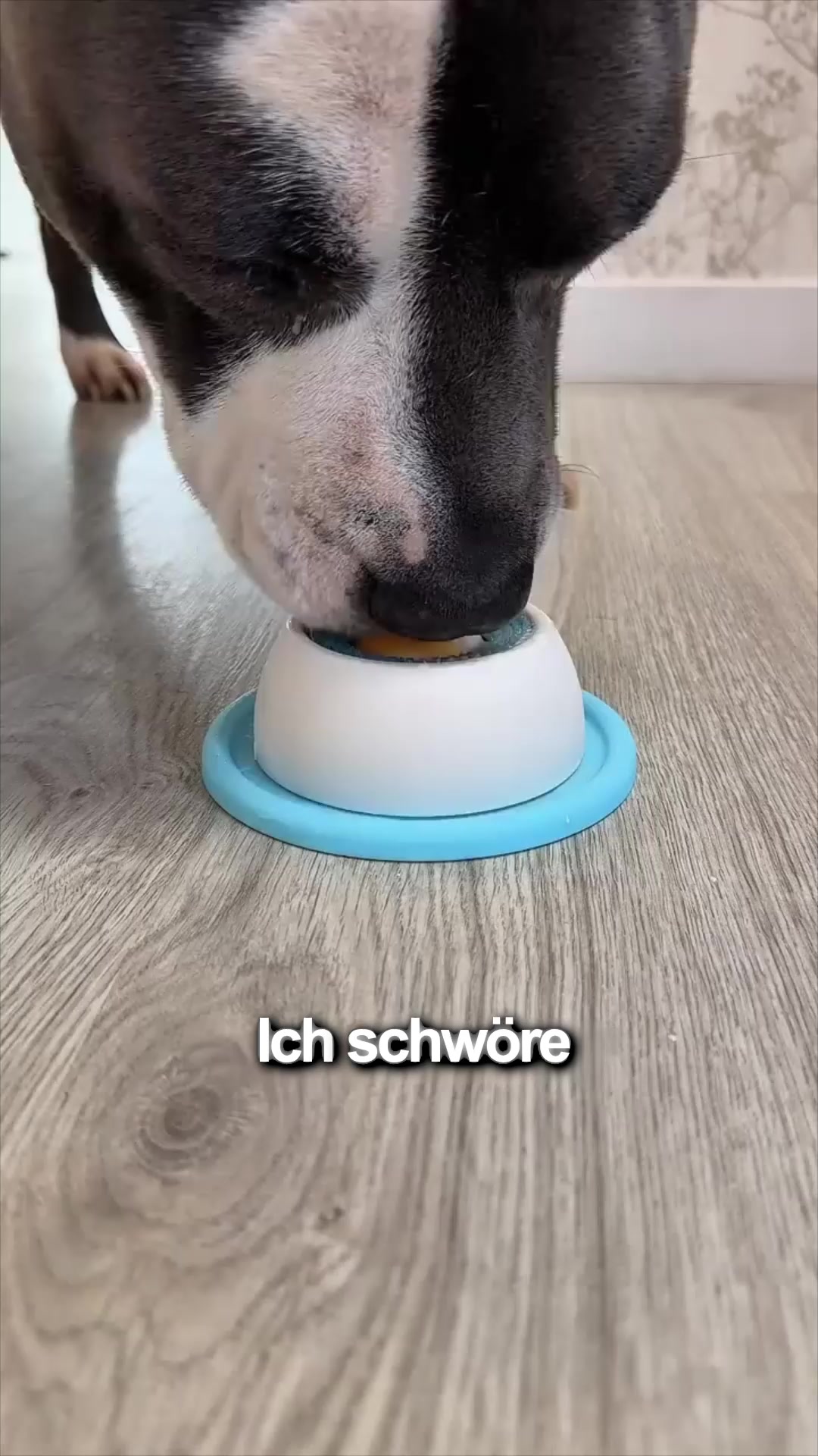 #1 Ruhe