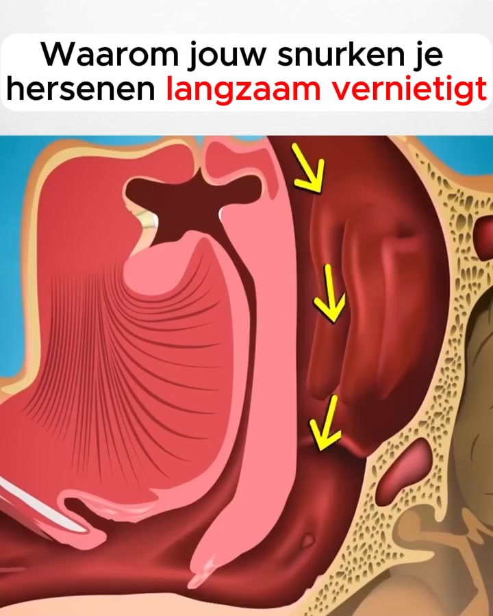 59% KORTING!
