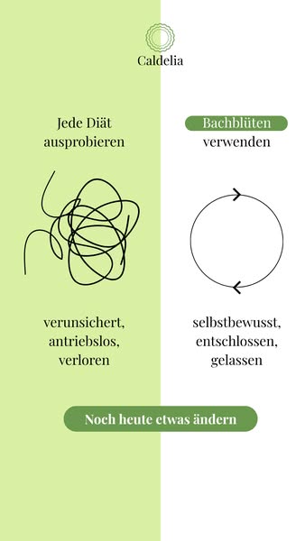 Ihr natürlicher Verbündeter zum Abnehmen