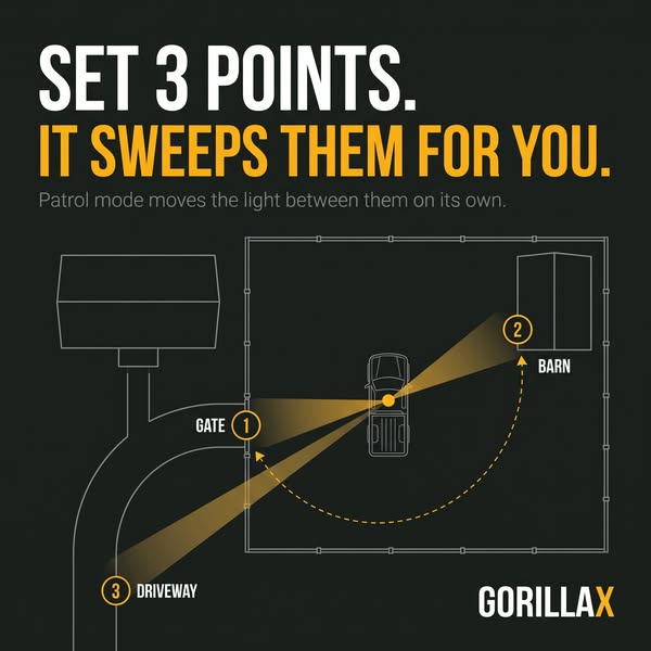 Point. Click. See.
