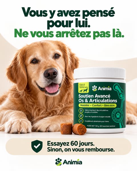 Dernière chance : offre jusqu’à ce soir