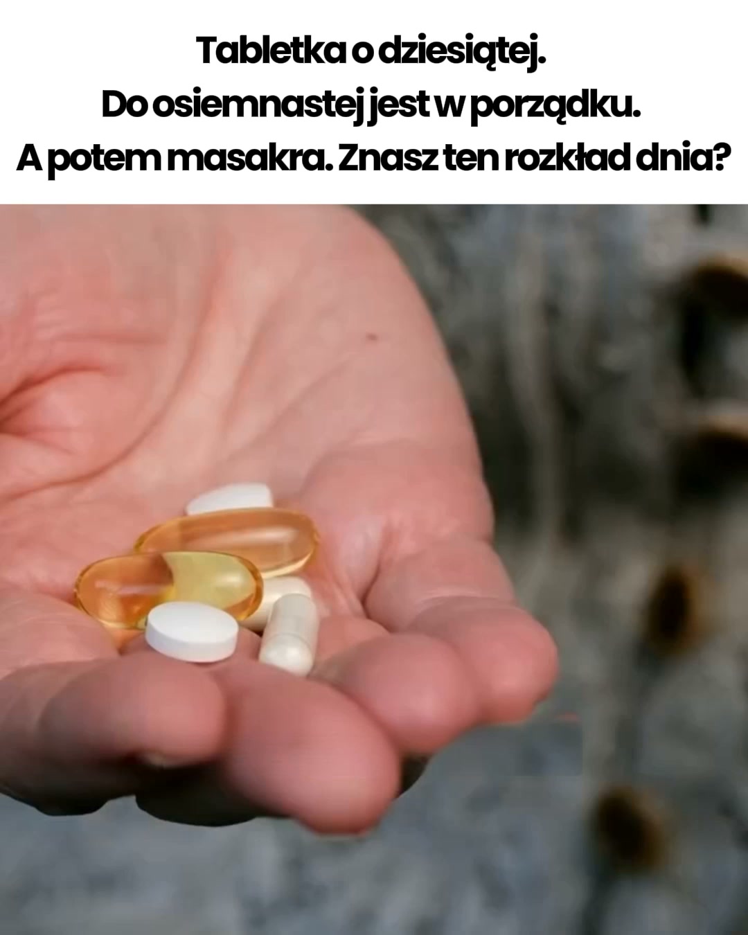 4.8/5 Ponad 3000 Klientów w Polsce