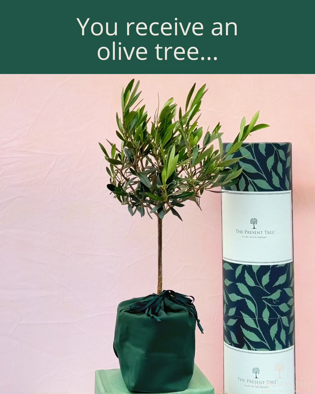 Beautifully Wrapped Tree Gifts
