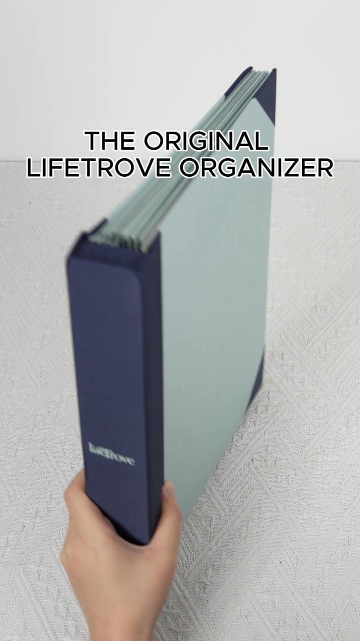 LifeTrove: Organizing For Your Future