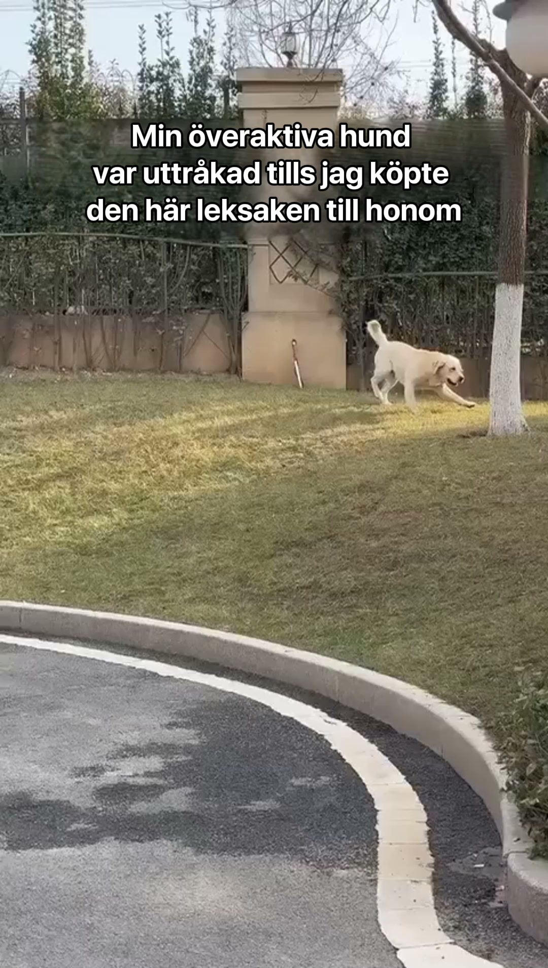 #1 Interaktiv Boll