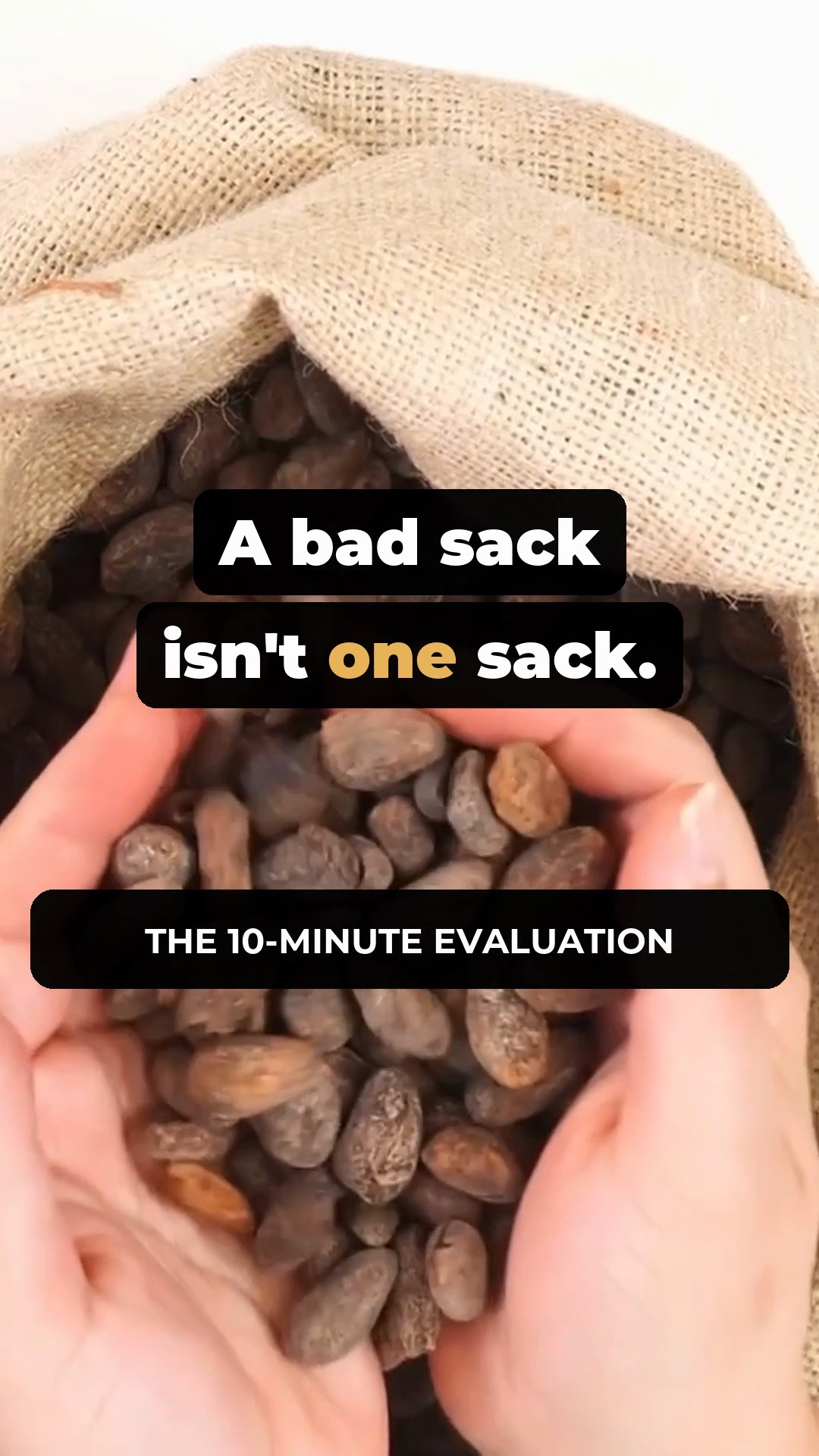 A Bad Sack Isn't One Sack