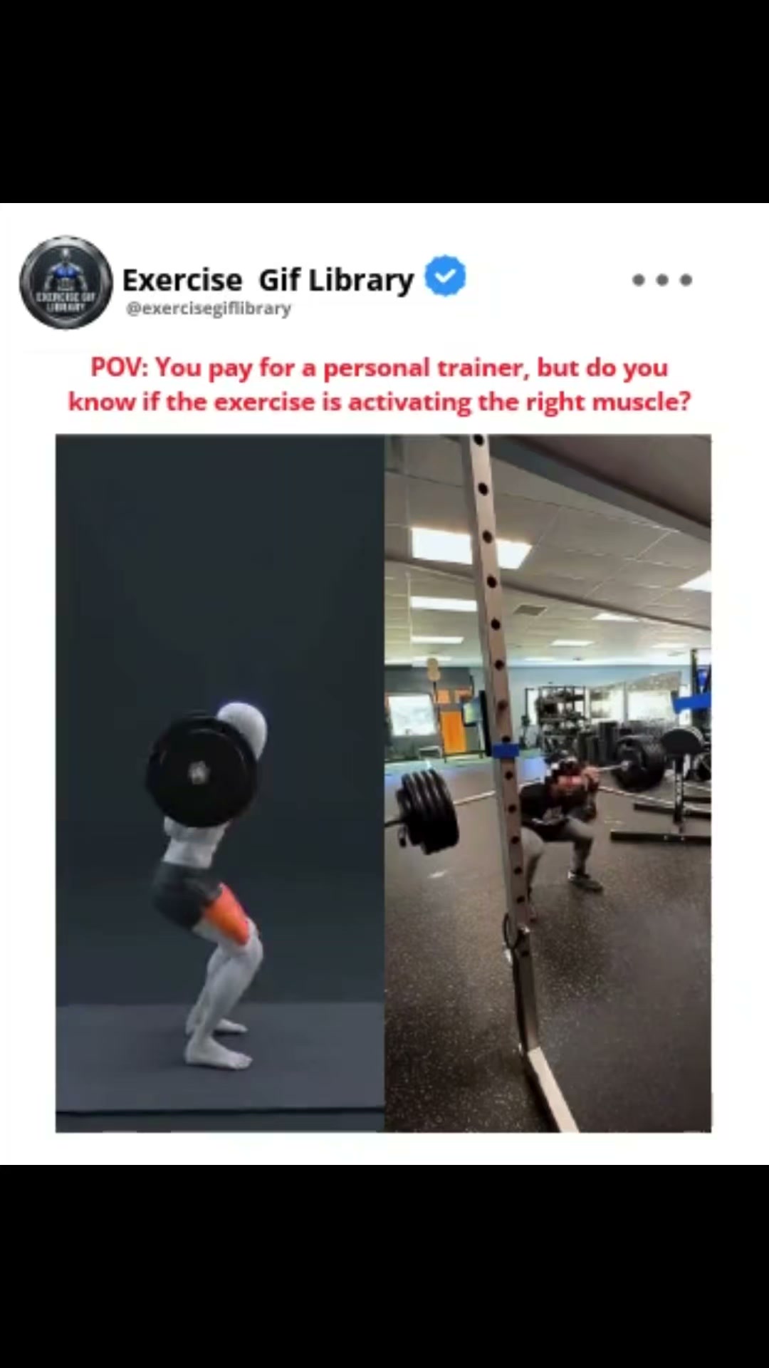 Download Now - 1,000+ Fit Gifs