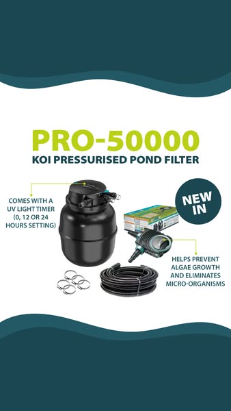 Easy Pond Maintenance