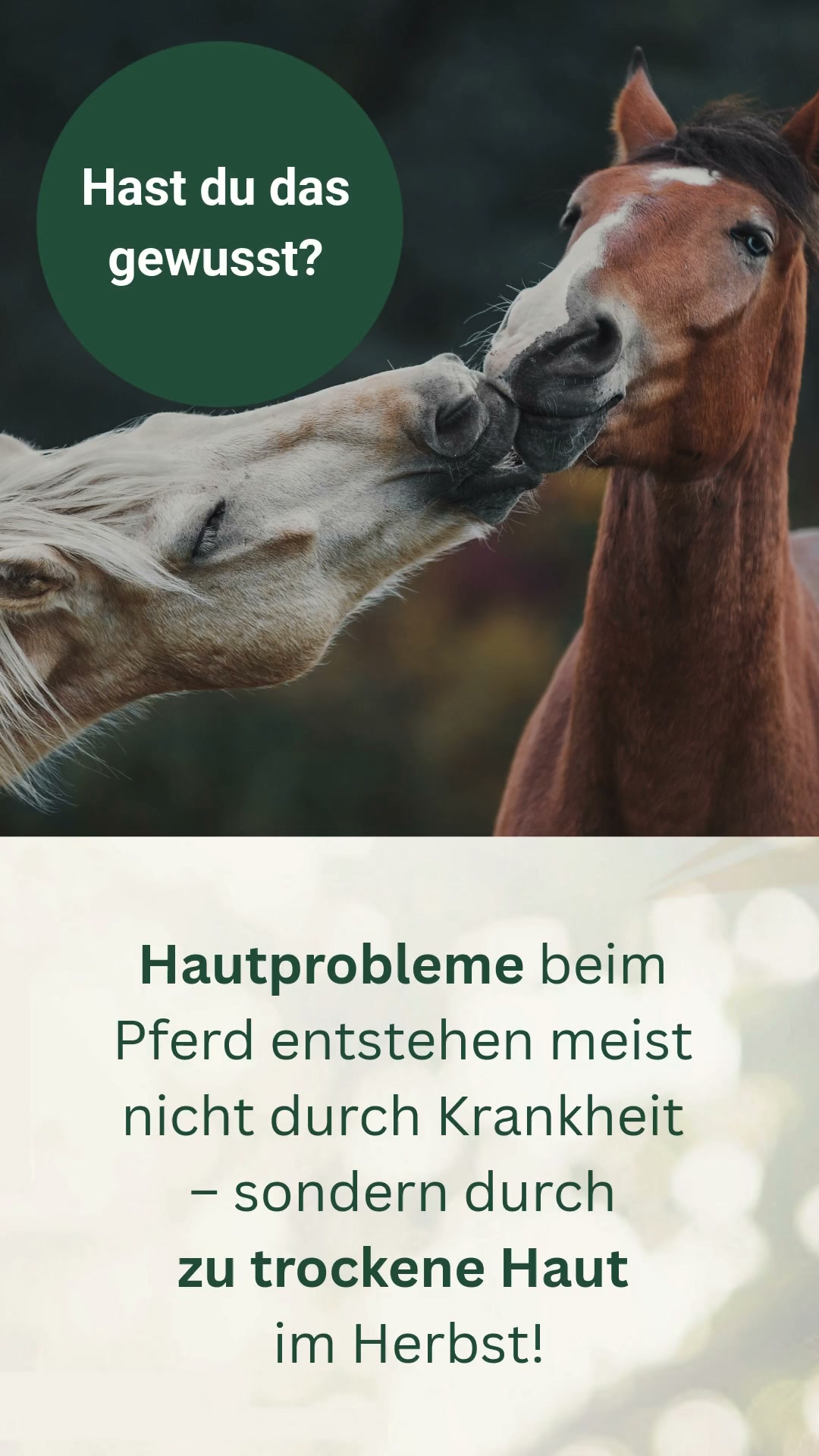 Trockene Pferdehaut im Herbst?
