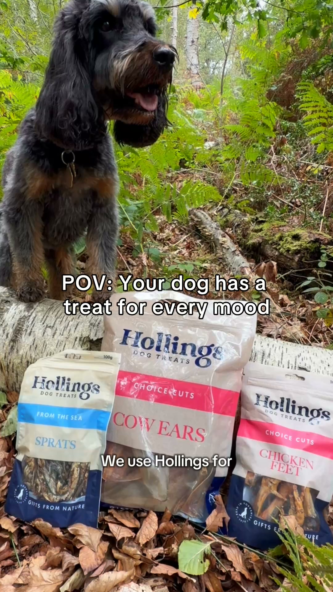 Air-Dried Dog Treats