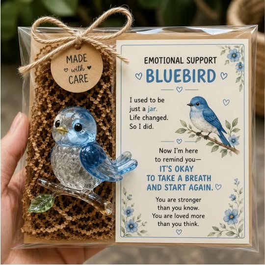 Emotional Sea Glass Support Animal Gift Set – A Meaningful Little Reminder That You Matter - Hummingbird
