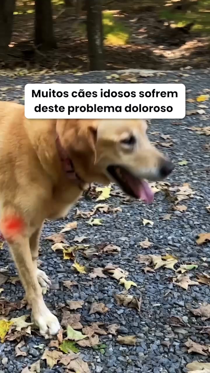 Pastilhas para o cuidado das articulações