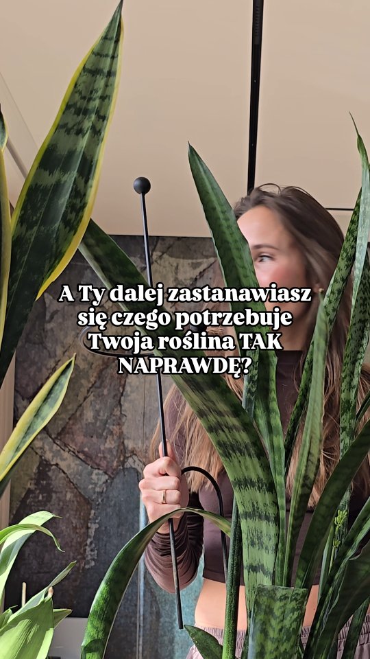 Anúncio de Leaflo