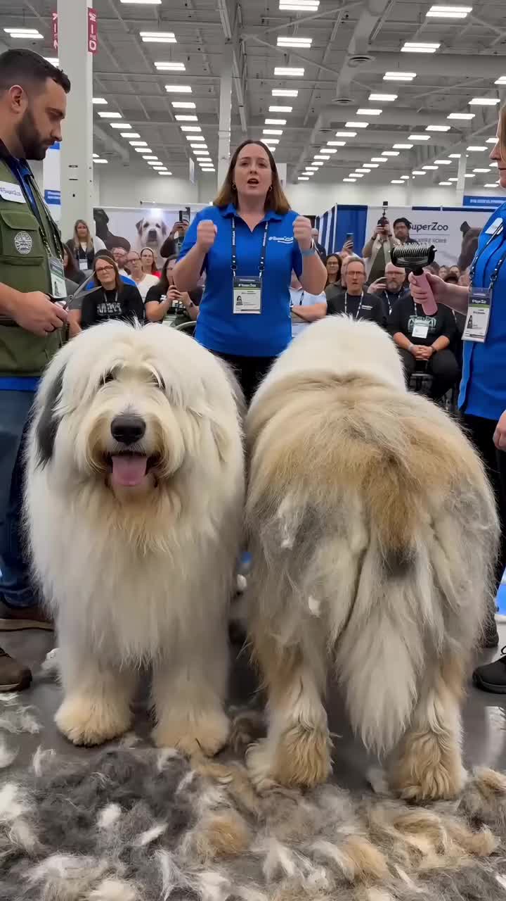 Pet Pro Grooming Tool