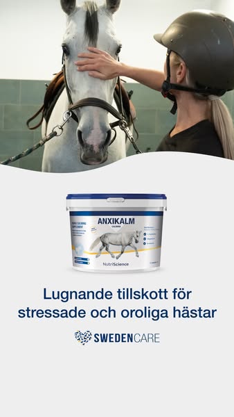 Ett tryggt stöd för stressade eller nervösa hästar