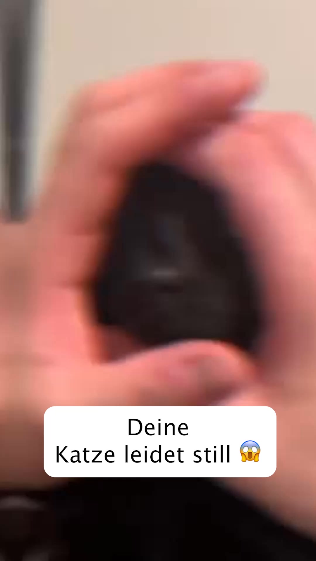 1+1 Neukunden Angebot