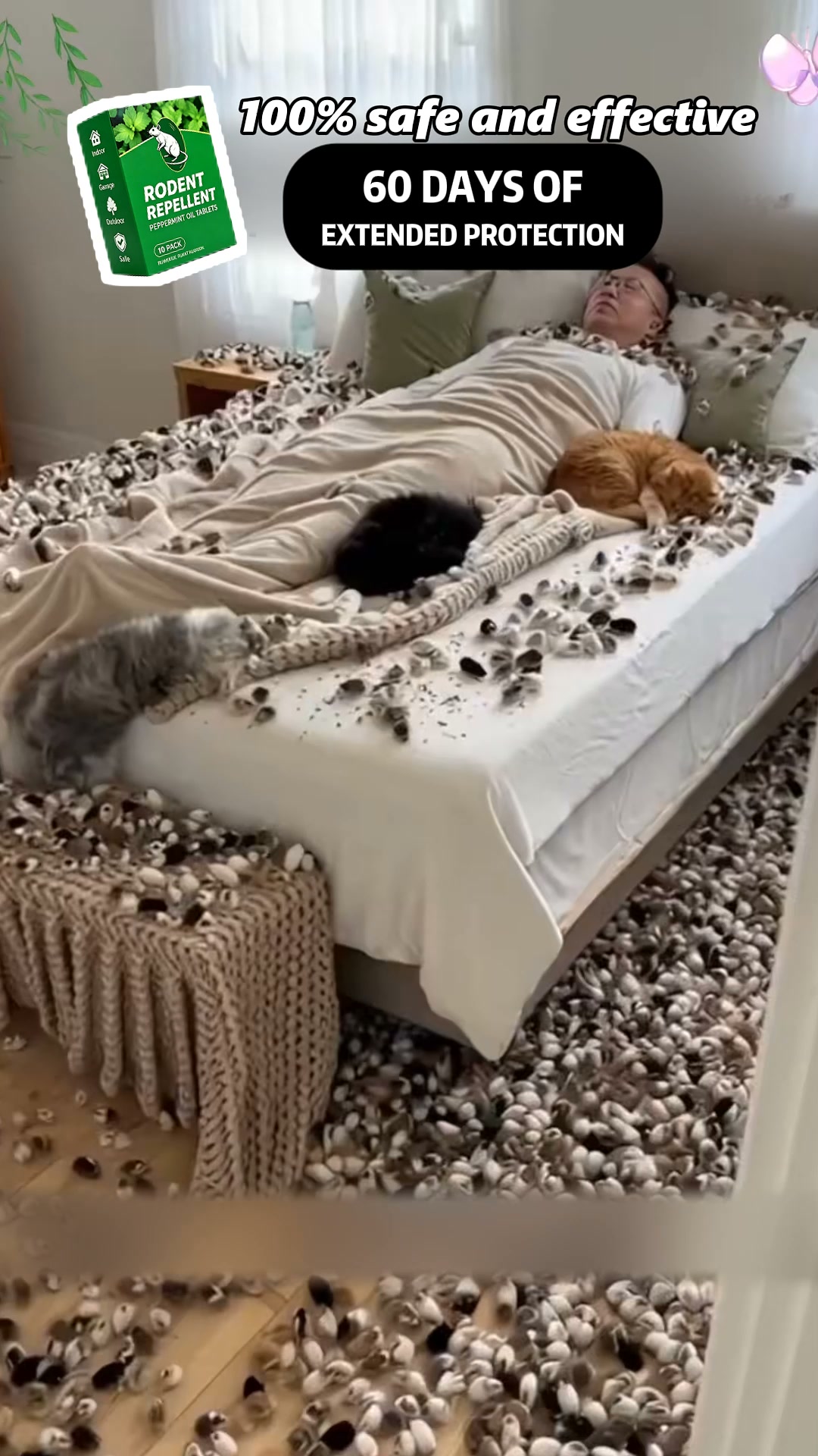 Keep Unwanted Rodents Away