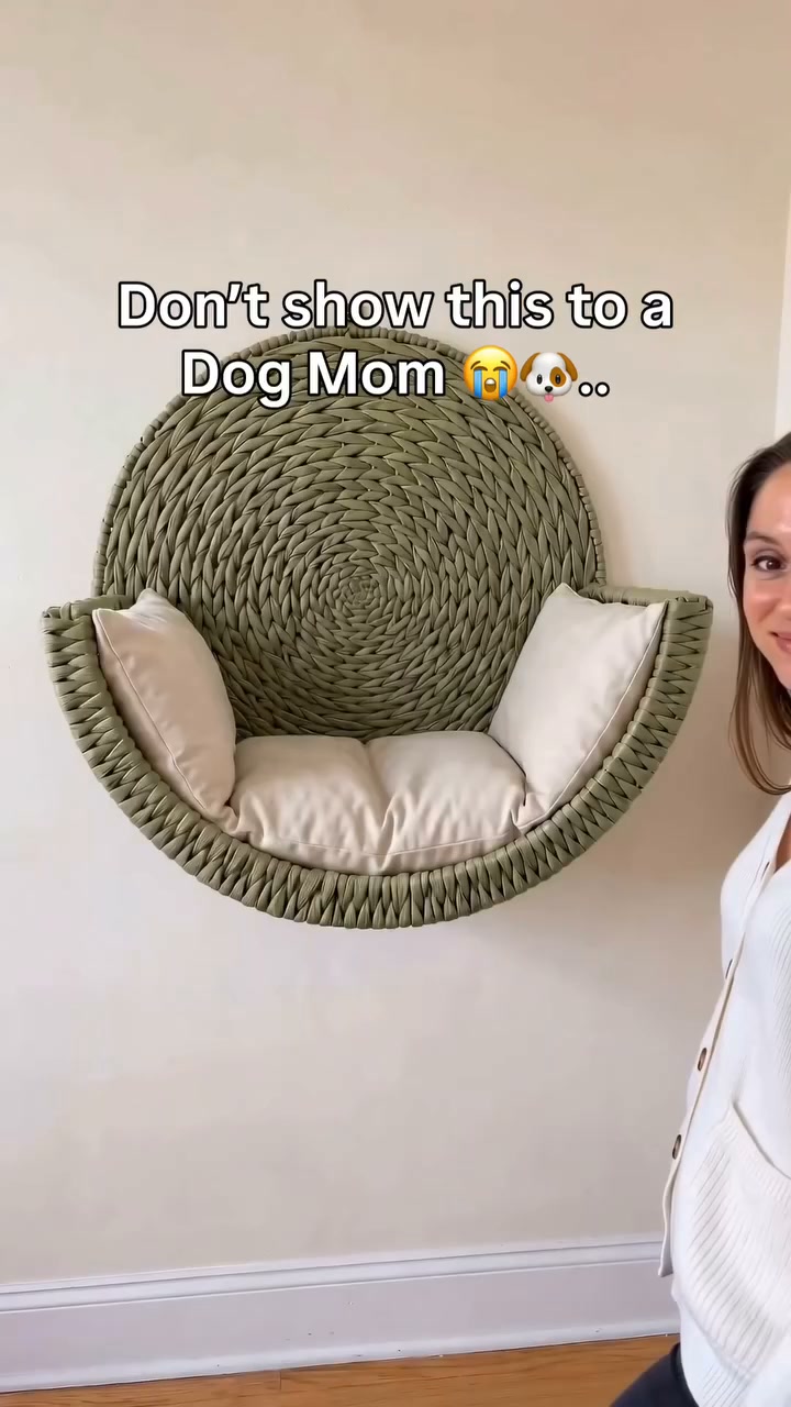Wall‑Mounted Pet Bed – 22lb Capacity, Renter‑Friendly, 5‑Minute Install, Hand‑Woven