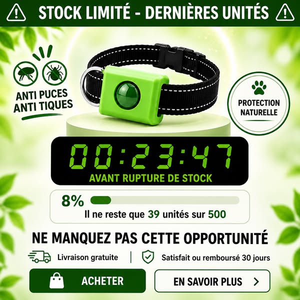 Ne passez pas à côté