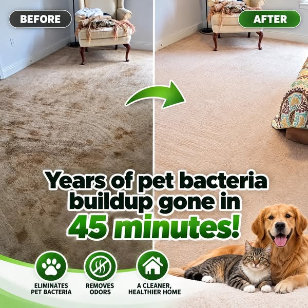 Animal Shelters Use This to Erase Stains & Odors