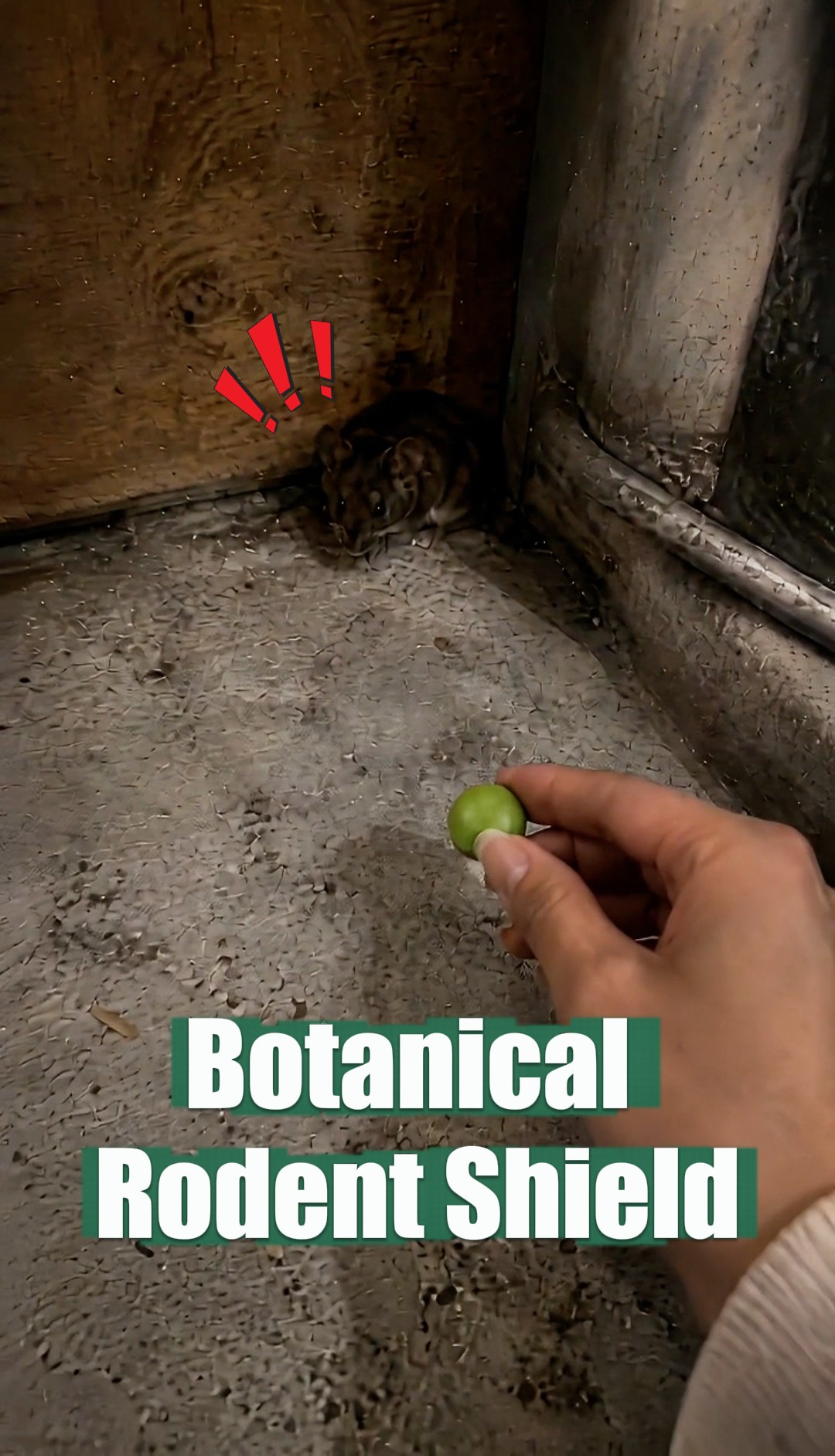 No‑Trap Botanical Scent Rodent Deterrent Pellets For Indoor & Outdoor