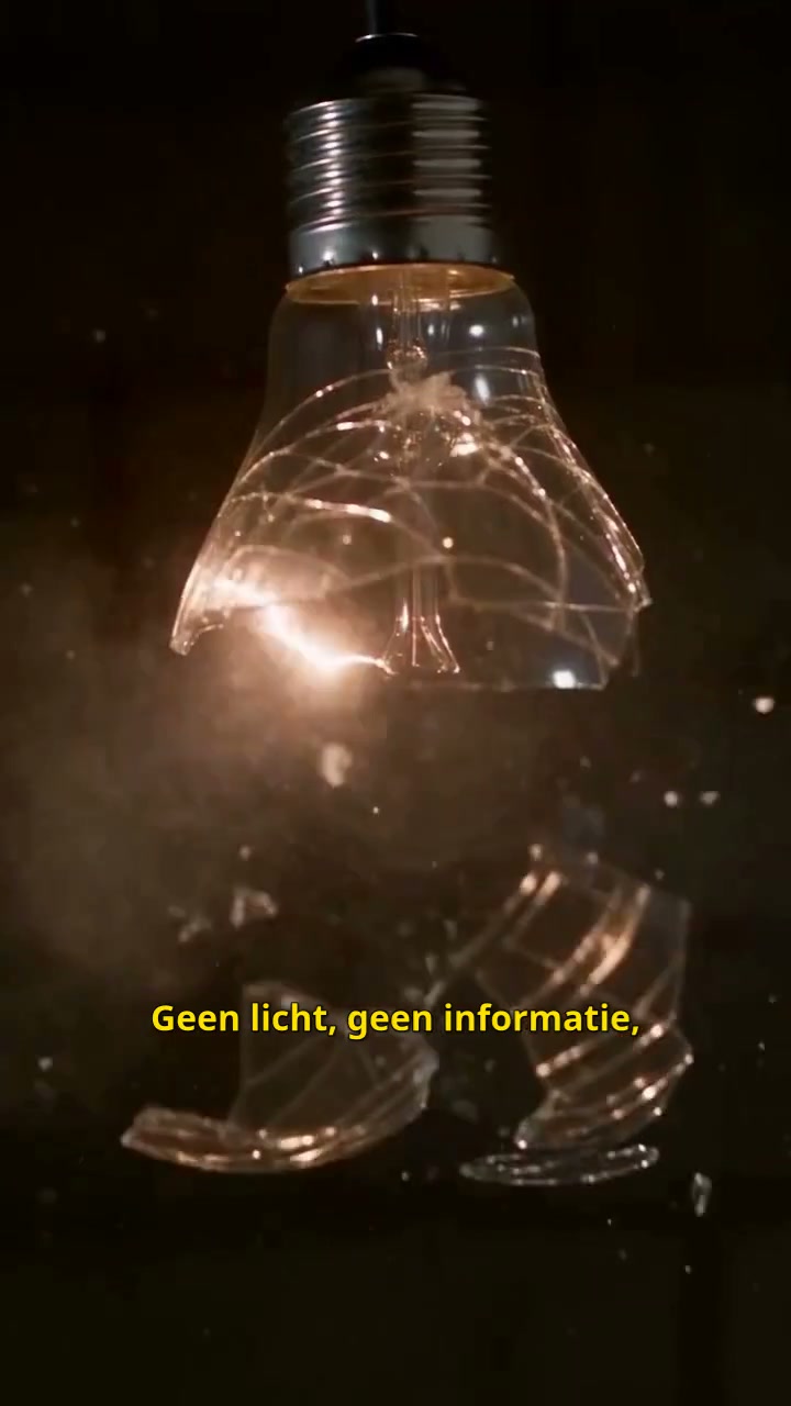 Netherlshop