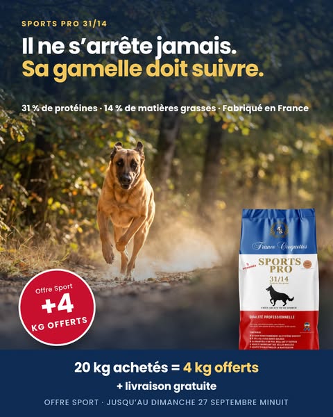 Formulé pour les chiens actifs