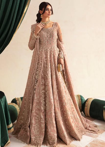 Upto 50% Off