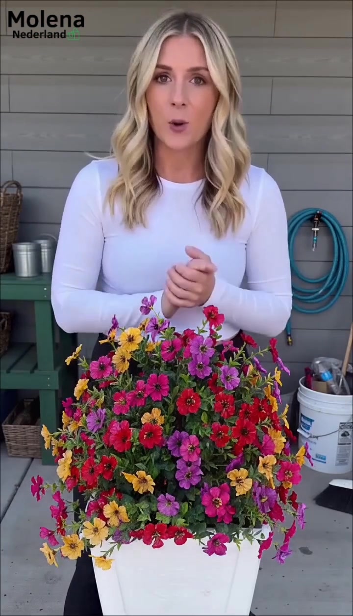 Altijd kleur in je tuin zonder onderhoud