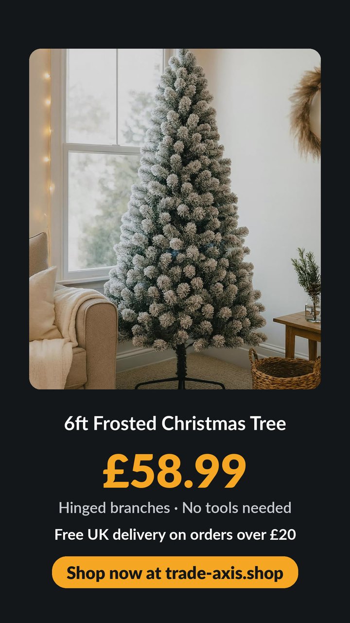 6ft frosted Christmas tree, £58.99