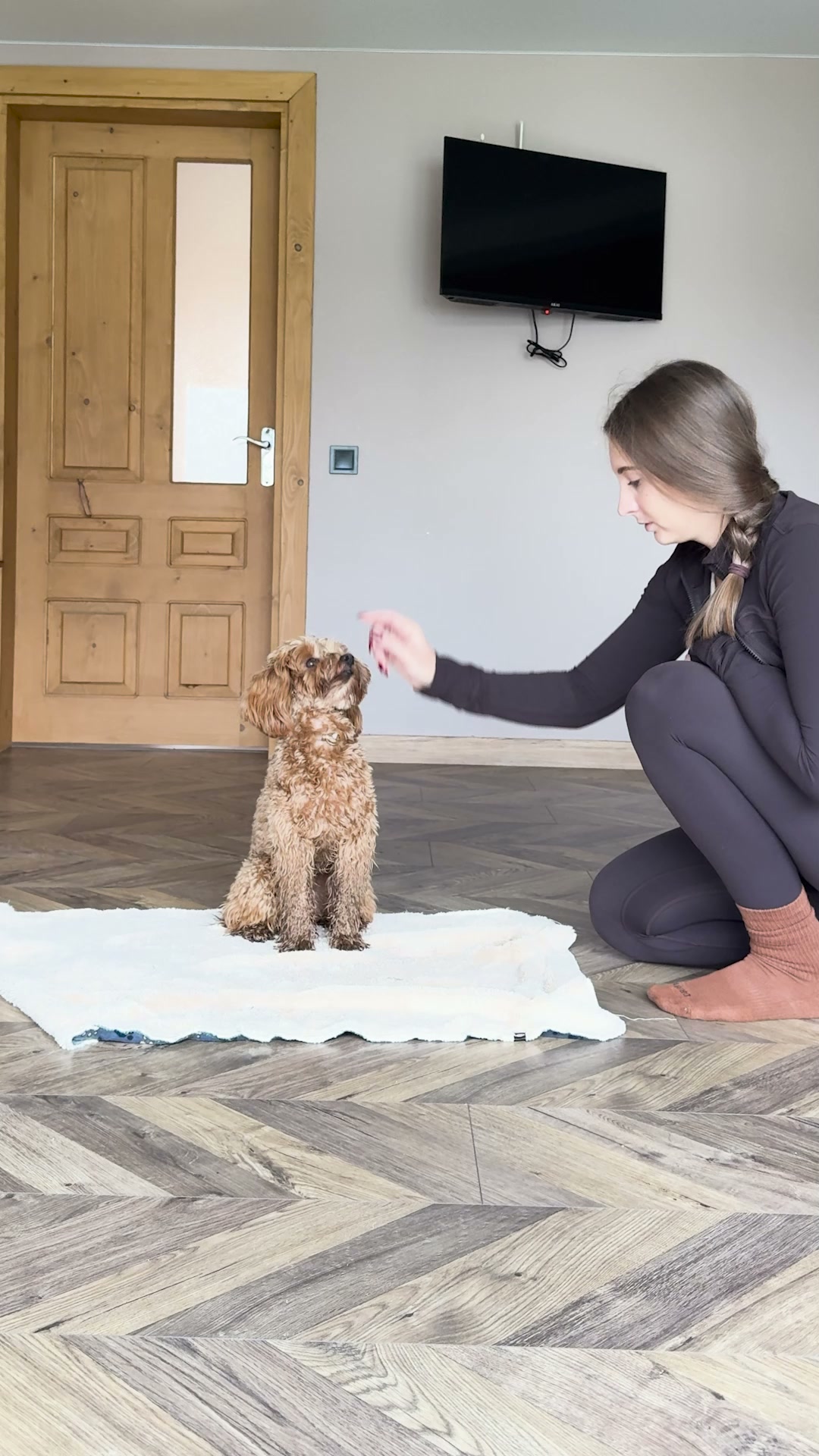 Start training your pup ▶