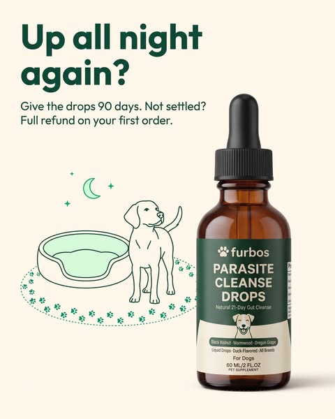 Up All Night Again? Give The Gut 90 Days