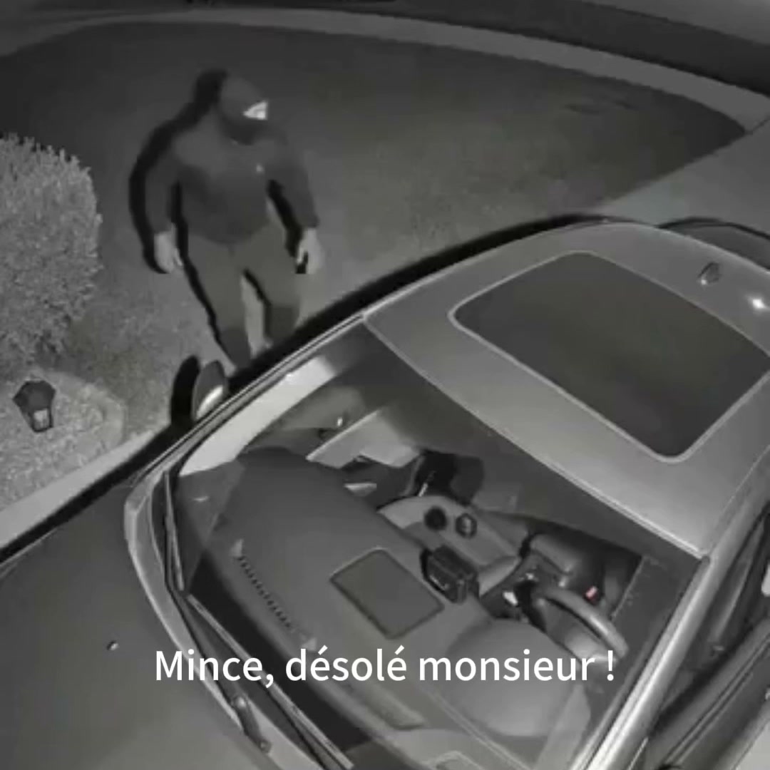 FlashGuard – LED SMD à haute intensité émettant des flashs puissants pour dissuader les voleurs potentiels