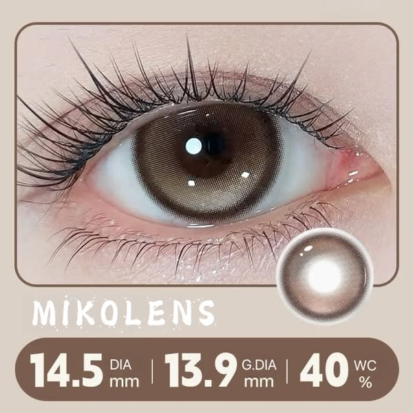 Cheese Lamb Brown 14.5mm Contact Lenses(6 months wear) -1.00