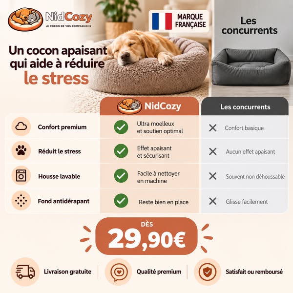 Offre limitée : Jusqu'à -50%