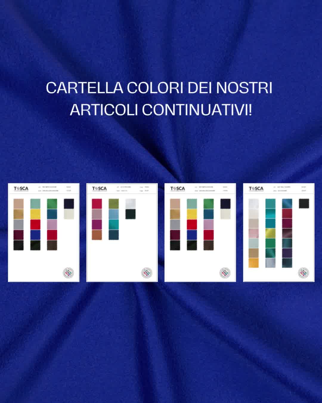 KIT CAMPIONI e CARTELLA COLORI