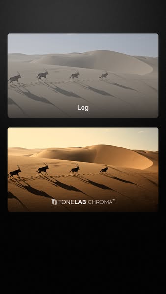 Get access to ToneLab Chroma now!