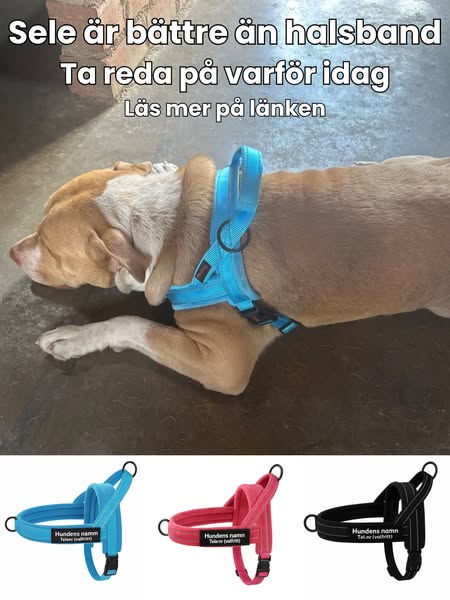 Hundsele med antidrag